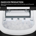Whynter IMC-270MB Compact Portable Ice Maker, 27 lb. Capacity, Metallic Black