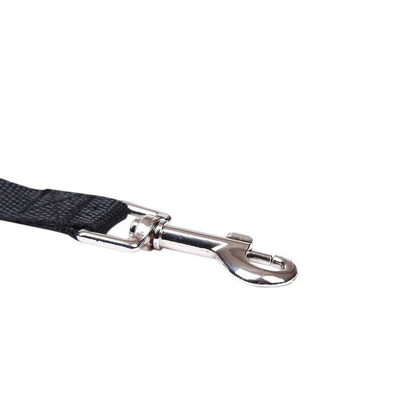 Dog Leash Long Obedience Recall Foot Feet Training Lead 6/15/23/33/50/<wbr/>100 FT