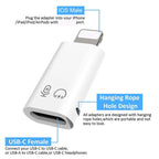 USB Type C Female to iOS Male Adapter For iPhone 14/13/12/11/XR<wbr/>/XS/SE 3 lot