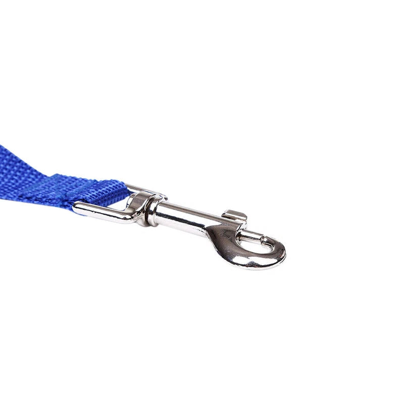 Dog Leash Long Obedience Recall Foot Feet Training Lead 6/15/23/33/50/<wbr/>100 FT